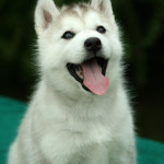 Ginny 2