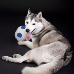 _MG_2905 web