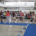 Intercanis 5