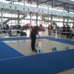 Intercanis 7