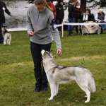 _MG_0651_u_web
