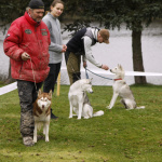 _MG_0662_u_web