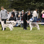 _MG_0690_u_web
