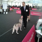 Tulln 2