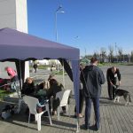Opole, Národní výstava V skupiny, 23.4.2016 VN1, BIS 2, rozh.Paul H. Stanton (S) (6)